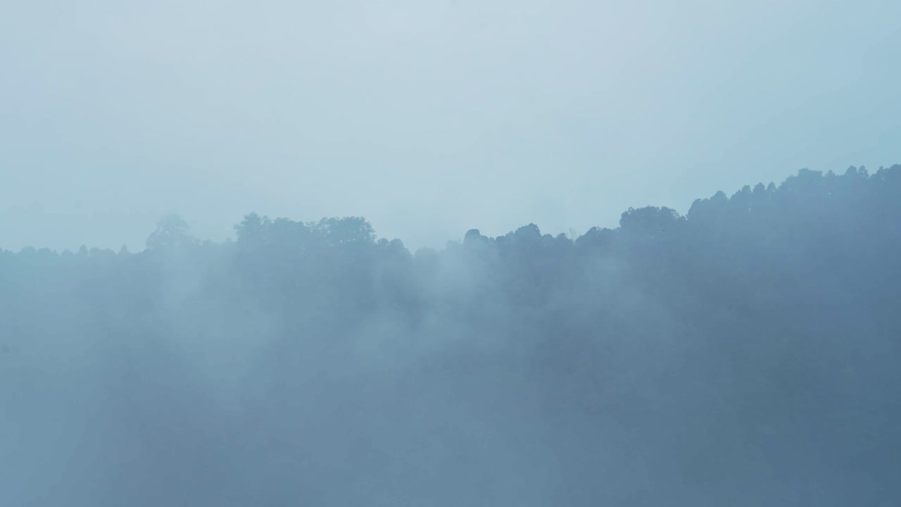 Blue Misty Nature Rainforest Background with Copy Space, Clouds and Mist Moving Over Tree Tops in the Jungle, Blue Tropical Scenery Background with Copyspace in Moody Atmospheric Scene