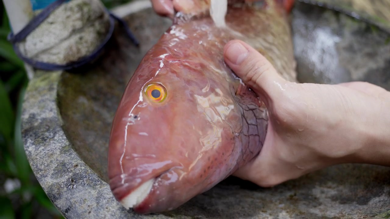 Nahaufnahme: Vorsichtiges Waschen eines frisch gefangenen wilden Papageifisches unter fließendem Wasser auf einem lokalen Markt in einer tropischen Küstenregion.