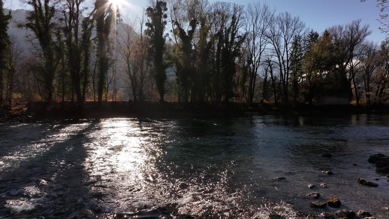 빛 과 나무 들 이 있는 강 풍경