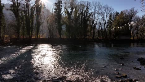 escena del río con luz solar y árboles