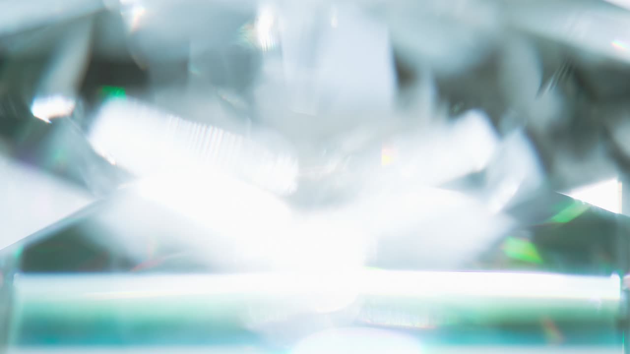 밝은 하이라이트를 가진 반이는 얼굴