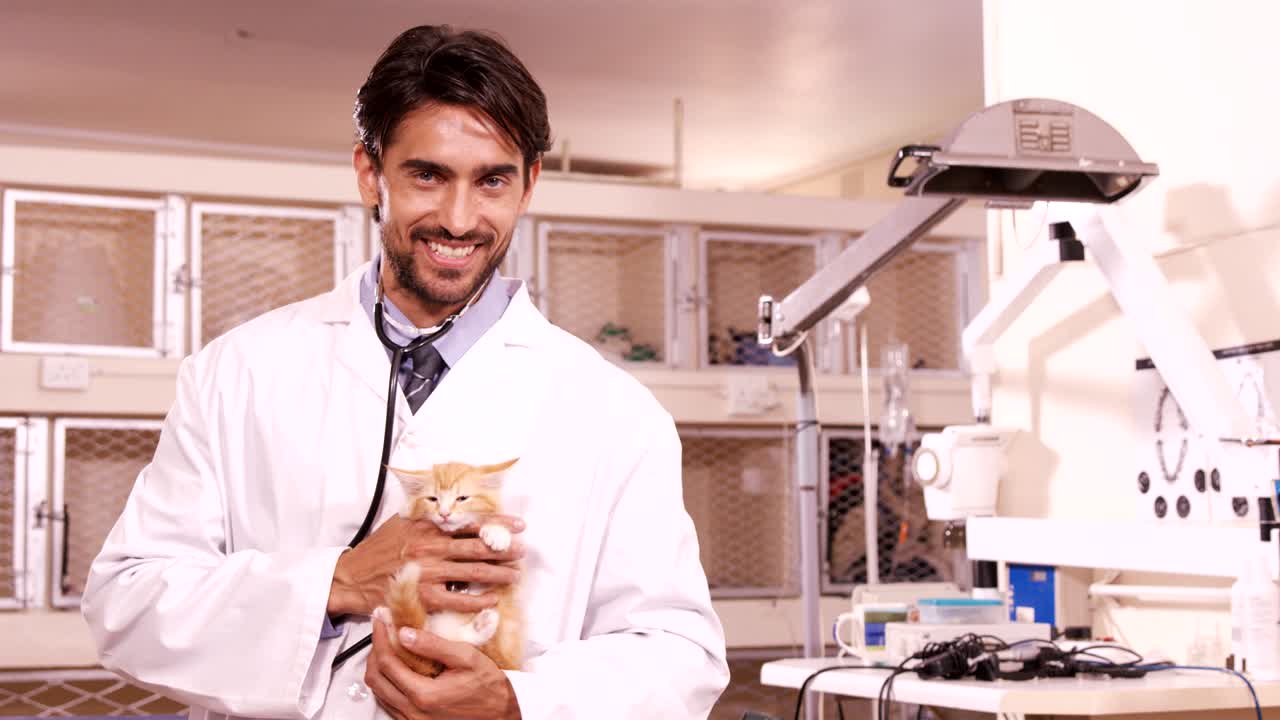 veterinario sosteniendo un gato