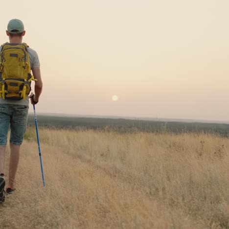 a young adult man is engaged in scandinavian walking with a backpack through the countryside