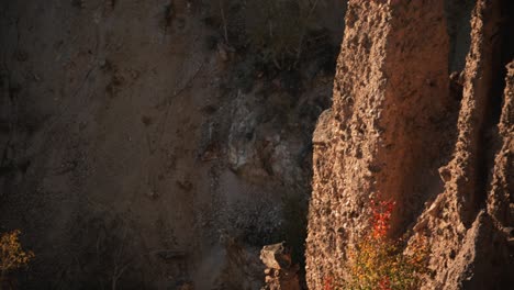 Close-up-of-the-rock-formations-in-Devils-Town,-Serbia