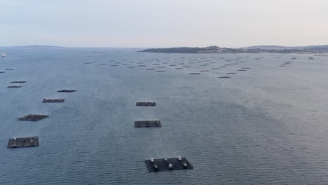 bateas icónicas en la tranquila bahía del océano gallego