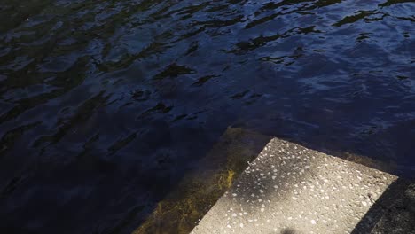 close up on some concrete slaps underwater, detail of a flooded urban area, the aftermath of a rainy day