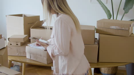 young female entrepreneur checking stock inventory