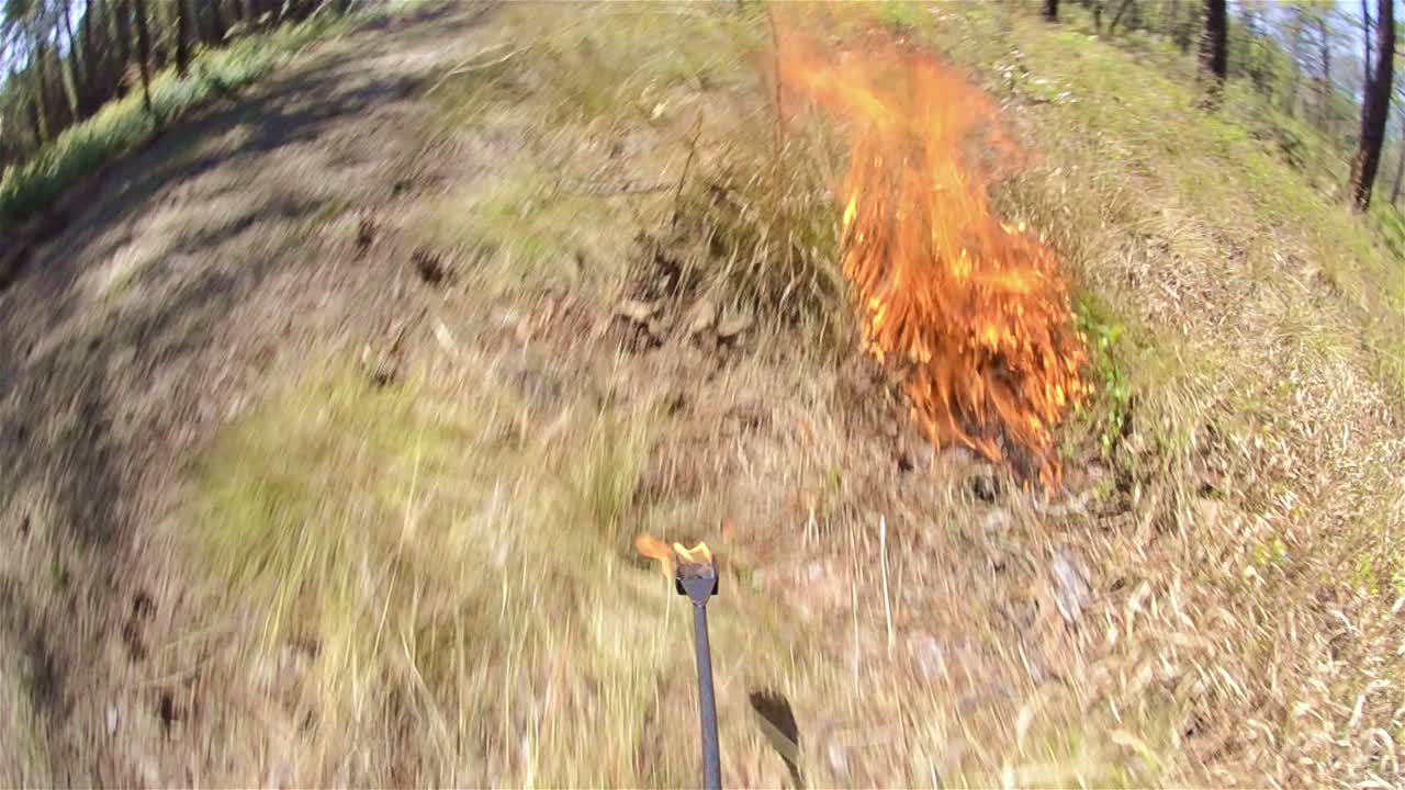 точка зрения на предписанный ожог капельным факелом возле бэксли, штат джорджия