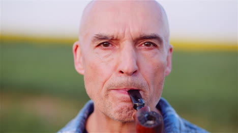 contented bald farmer smoking his pipe on field 3