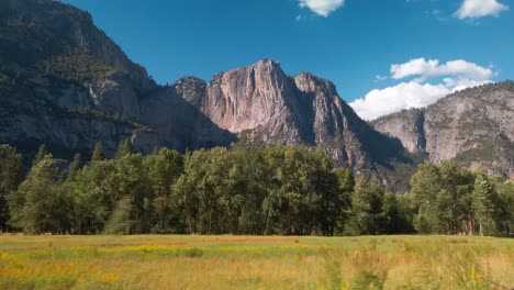 fast moving shot along a meadow with towering granite rock faces above