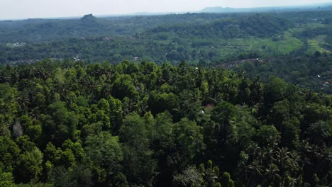 Vista-Aérea-Sobre-El-Pintoresco-Valle-De-Sidemen-En-Bali,-Indonesia,-Con-Vistas-Al-área-Del-Bosque-Tropical-Que-Incluye-Cocoteros-Y-Bosques-Densos-En-Un-Viaje-De-Aventuras