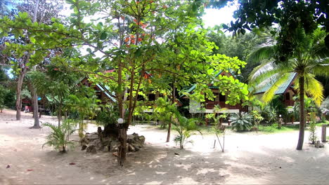 stilt beach houses and tropical trees on a bright sunny day