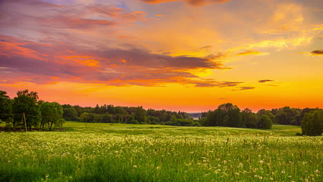 countryside-flowery-field-and-golden-sky,-sunset-spring-nature-timelapse