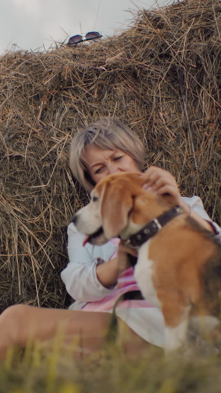 선글라스를 착용 한 중년 여성은  에 앉아, 혀가 어나오면서 개 머리를 부드럽게 문지르고, 언덕, 황금 잔디, 구름이 가득한 하늘