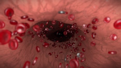 혈액세포 색 혈관 혈관 혈세포 생물학 의학 과학 박사 4k