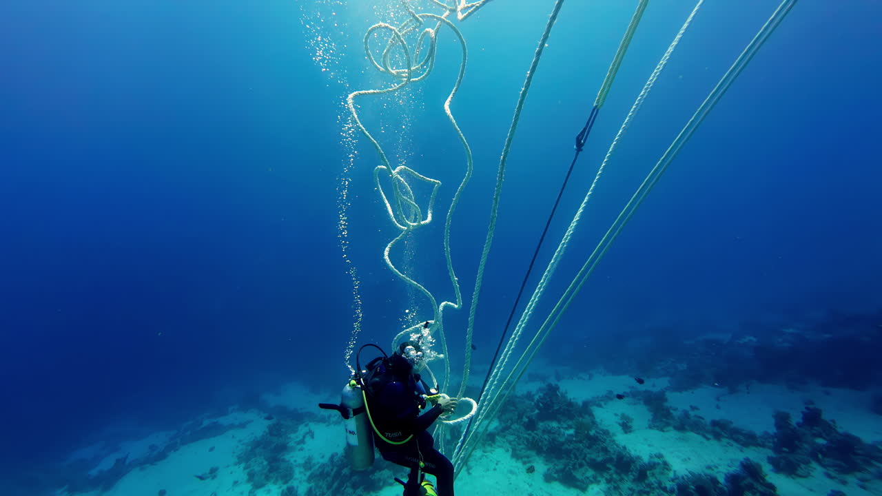 스쿠버 다이버는 로프를 사용하여 바물에 안전하게 내려갈 수 있습니다.