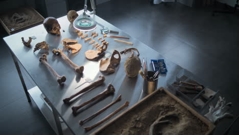 paleontology lab with human remains and tools