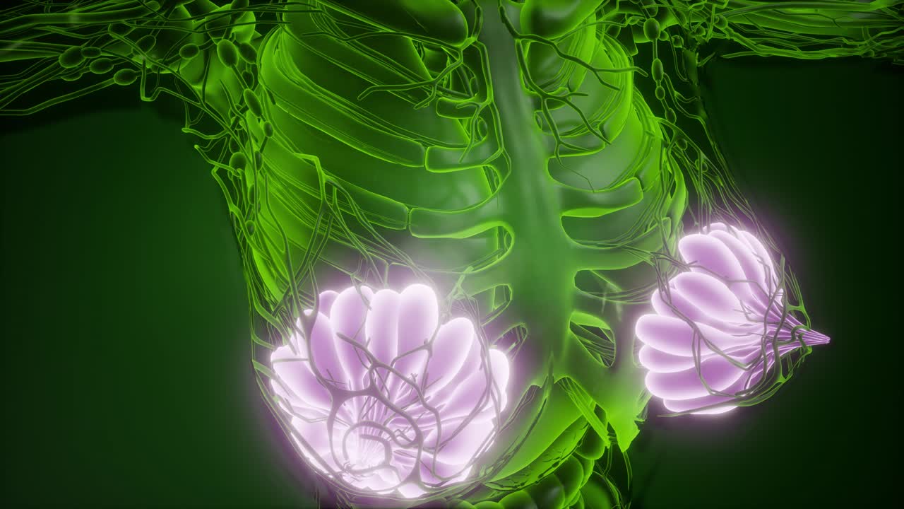 눈에 보이는 빛을 가진 인간의 몸 유방선