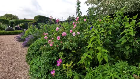 beautiful garden with blooming flowers and greenery