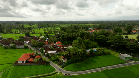 Los-Residentes-De-Bali-Viajan-A-Través-De-Carreteras-De-Bali-Rodeadas-De-Arrozales.