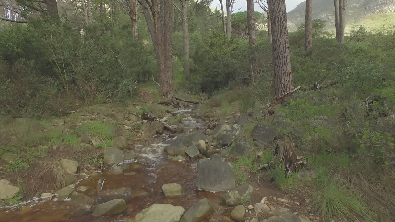 donde el agua corre libremente