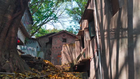 Spring-breeze-blowing-through-old-villages