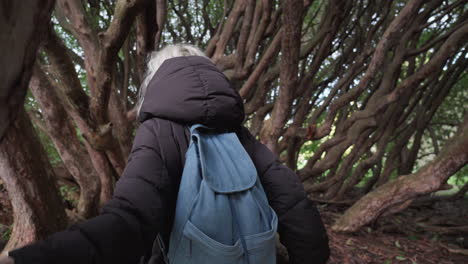 woman walking touching trees in forrest stepping over the roots and ducking under