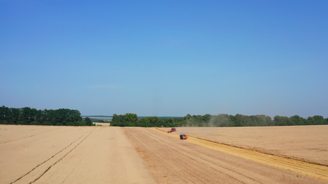 Fantastic yellow ripe wheat field contrasting with clear blue sky. Drone shot approaching the machinery working in the farmland. Aerial view.