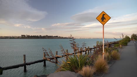 Das-Berühmte-Schild-Am-Ufer-Weist-Auf-Einen-Pinguin-Lebensraum-Am-Caroline-Bay-Beach-Hin