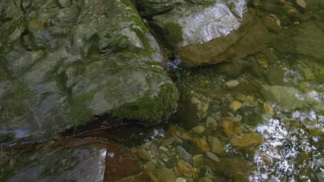 clear stream with rocks and moss