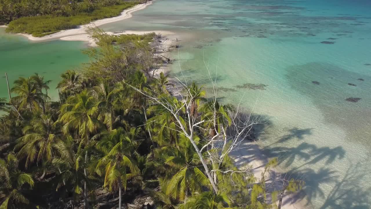 Ripresa aerea con drone di una spiaggia tropicale e una laguna con lunghe ombre di palme da cocco, volando all'indietro.