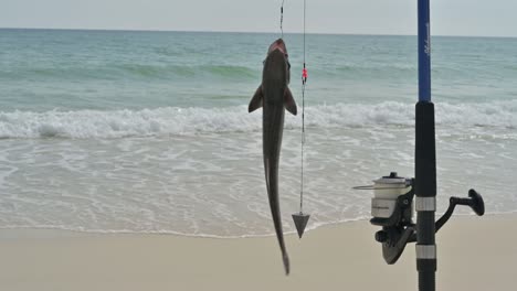 Fischen-Sie-Neben-Einer-Angelrute-An-Einem-Weißen-Sandstrand-Mit-Smaragdgrünem-Wasser-An-Der-Golfküste-Des-Golfs-Von-Mexiko