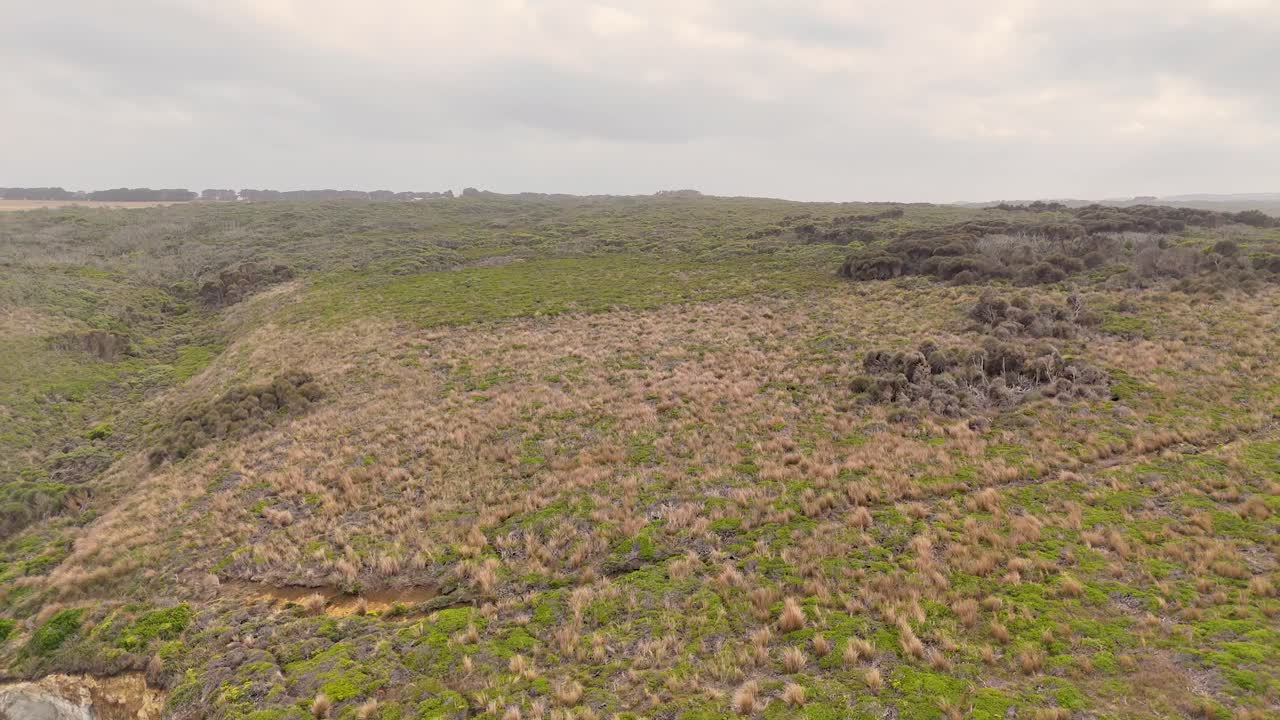 Drone footage captures the dramatic cliffs and lush landscape of Port Campbell, Australia, under soft, overcast lighting