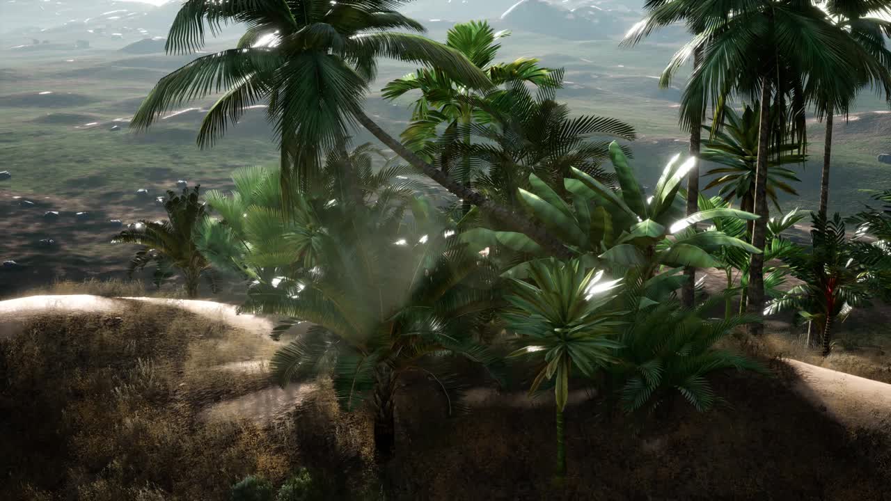 plantación de palmeras en ein gedi en el mar muerto