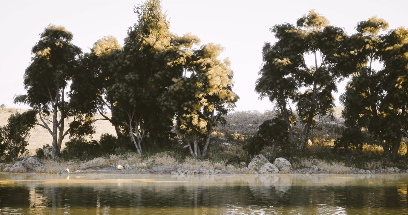 Tranquil lakeside view with lush trees and calm water at sunset
