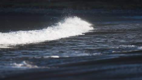 gentle waves splash on the sandy beach in ersfjord