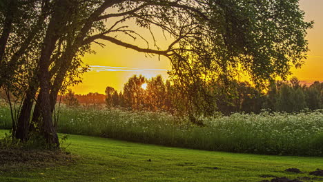 early morning rural sunrise with growing crops bellow, time lapse