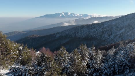 Slow-aerial-over-snow-covered-forest-trees-Mountain-Olympus-Background