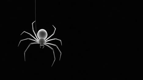a hauntingly elegant spider suspended in darkness: a visual exploration of arachnid beauty and intrigue captured in high contrast