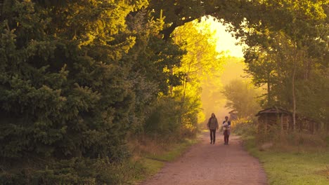 quelques personnes méconnaissables marchent sur un chemin de terre à l'heure d'or du matin