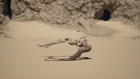 a piece of driftwood lies on the sand in a desert landscape