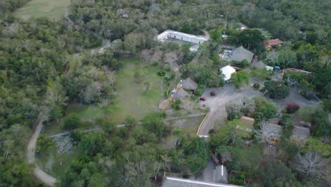 cluster-of-charming-cottages-nestled-in-the-midst-of-a-lush-forest,-surrounded-by-verdant-trees