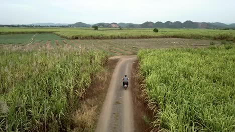 Luftaufnahme-Eines-Motorradfahrers,-Der-Durch-Feld-Fährt,-Zentrale-Hochlandregion,-Vietnam,-Klarer-Himmel,-Bergkette-Im-Hintergrund