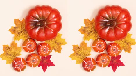 autumn pumpkins and leaves move on bright theme. stop motion