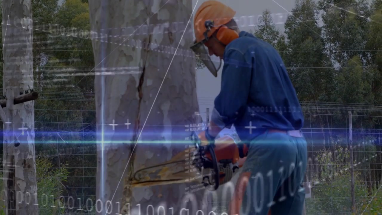 Arborist starting chainsaw, cutting trunk making notch for utility safety, binary overlaying scene