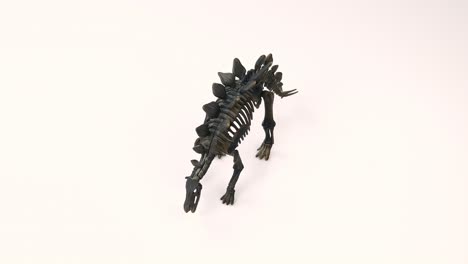 stegosaurus skeleton on white background 4k