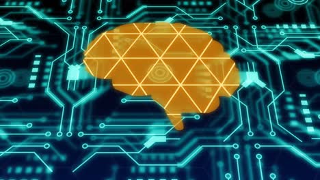 animazione del cervello e delle forme su una rete di connessioni.