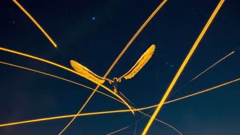 ethereal flight: a captivating display of light trails against the night sky, featuring a majestic bird with outstretched wings soaring among the stars