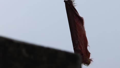 bandera hindú levantándose con vientos después de la tormenta