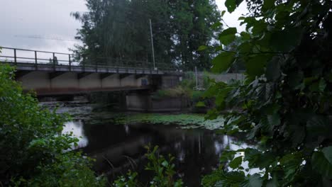 Toma-Manual-De-Hojas-Enfocadas,-Con-Un-Puente-De-Tren-Y-árboles-Y-Un-Arroyo-Viskan-En-El-Fondo-En-Una-Tarde-Nublada-En-Borås-Suecia